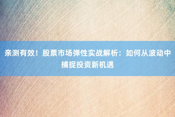 亲测有效！股票市场弹性实战解析：如何从波动中捕捉投资新机遇