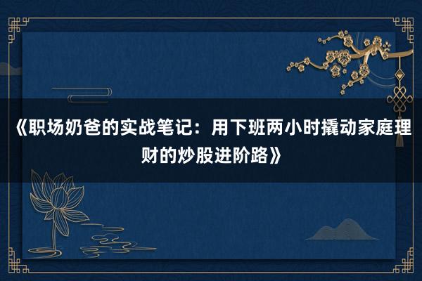 《职场奶爸的实战笔记：用下班两小时撬动家庭理财的炒股进阶路》