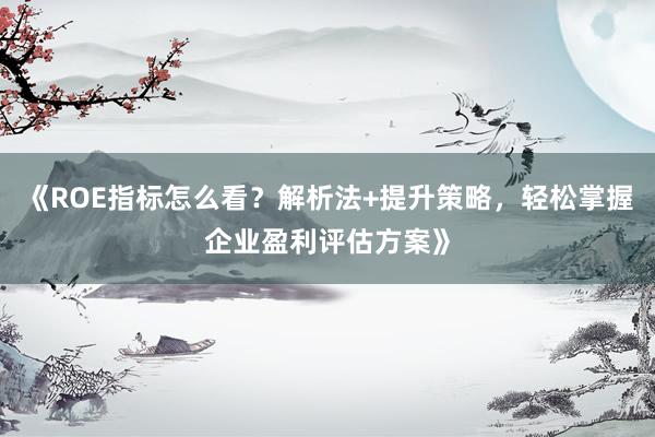 《ROE指标怎么看？解析法+提升策略，轻松掌握企业盈利评估方案》