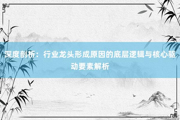 深度剖析：行业龙头形成原因的底层逻辑与核心驱动要素解析