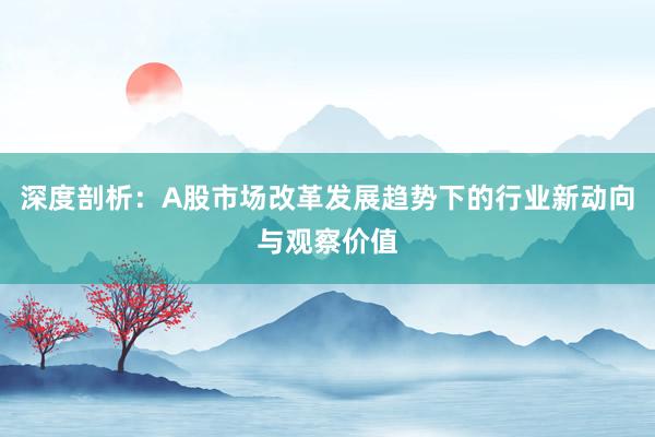 深度剖析：A股市场改革发展趋势下的行业新动向与观察价值