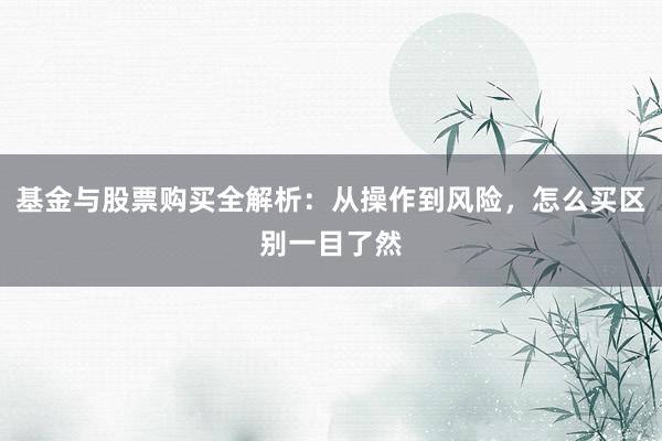 基金与股票购买全解析：从操作到风险，怎么买区别一目了然