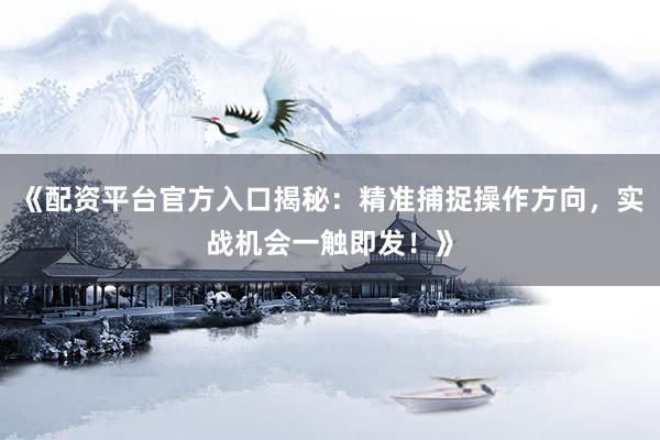 《配资平台官方入口揭秘：精准捕捉操作方向，实战机会一触即发！》