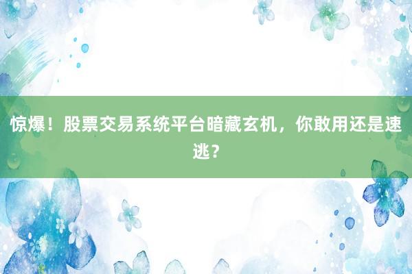 惊爆！股票交易系统平台暗藏玄机，你敢用还是速逃？