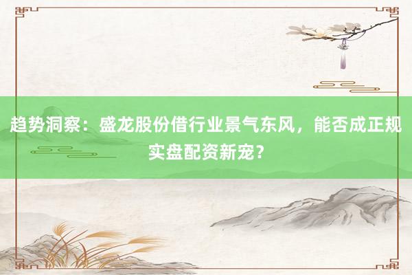 趋势洞察：盛龙股份借行业景气东风，能否成正规实盘配资新宠？